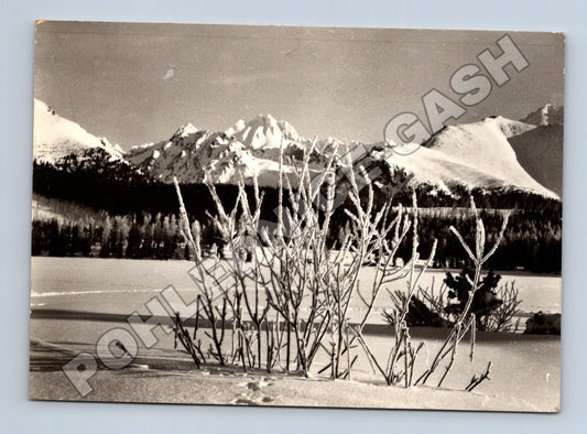 Slovensko Tatranský národní park Štrbské pleso 1963 (M35580)