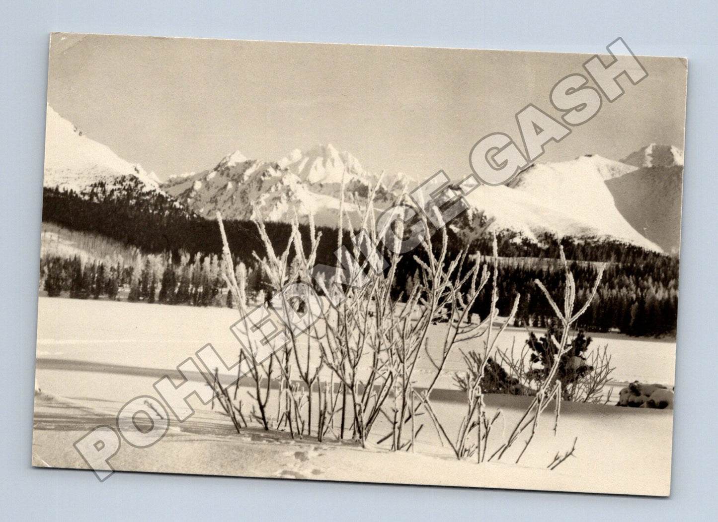 Pohlednice Slovensko Vysoké Tatry Štrbské pleso zima (M35585)