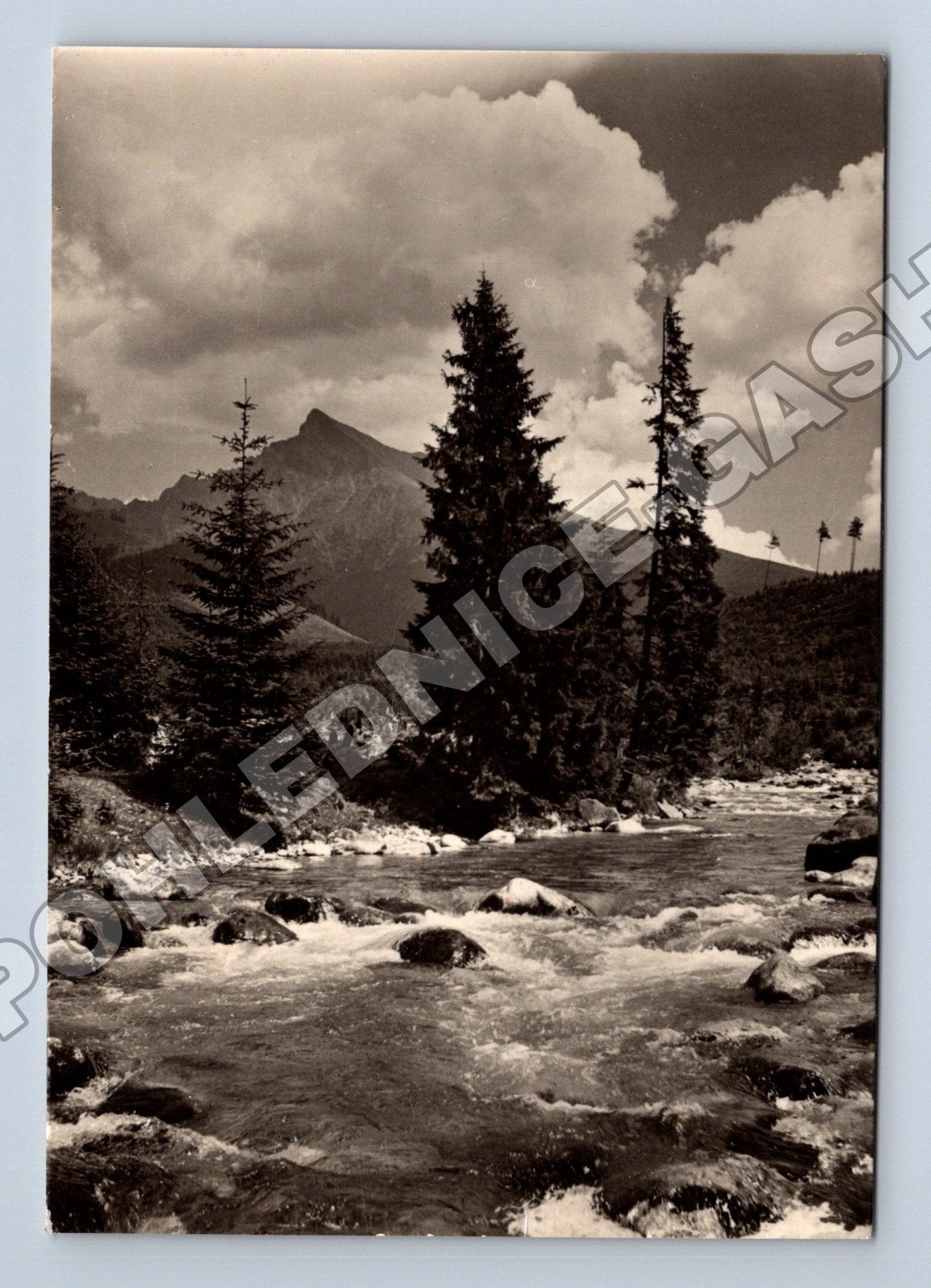 Pohlednice Slovensko Křiváň horská krajina 1963 (M35609)