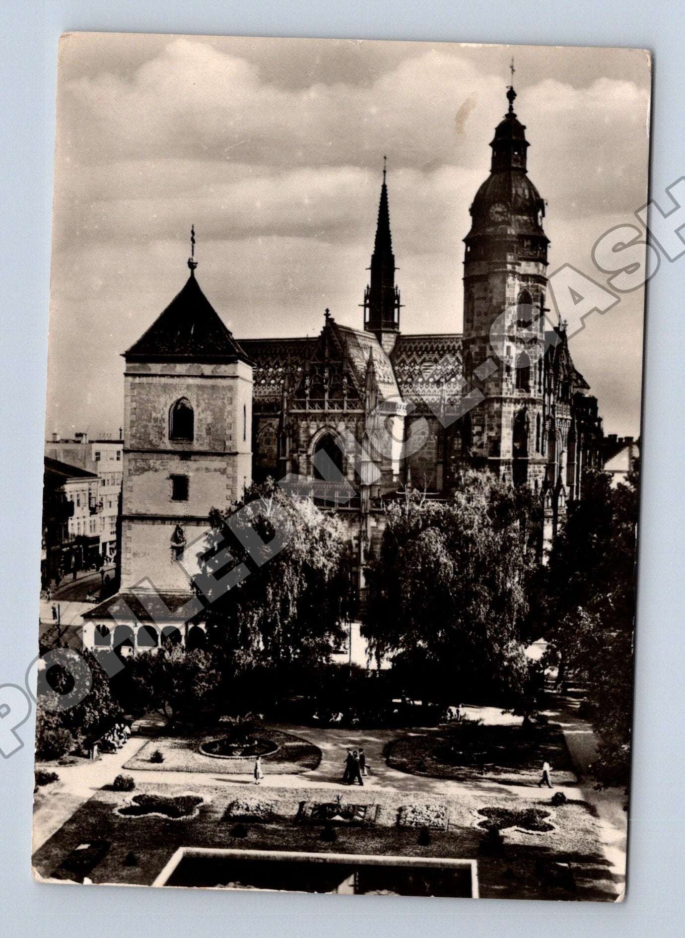Pohlednice Slovensko Košice Dóm sv. Alžběty 1956 (M35618)