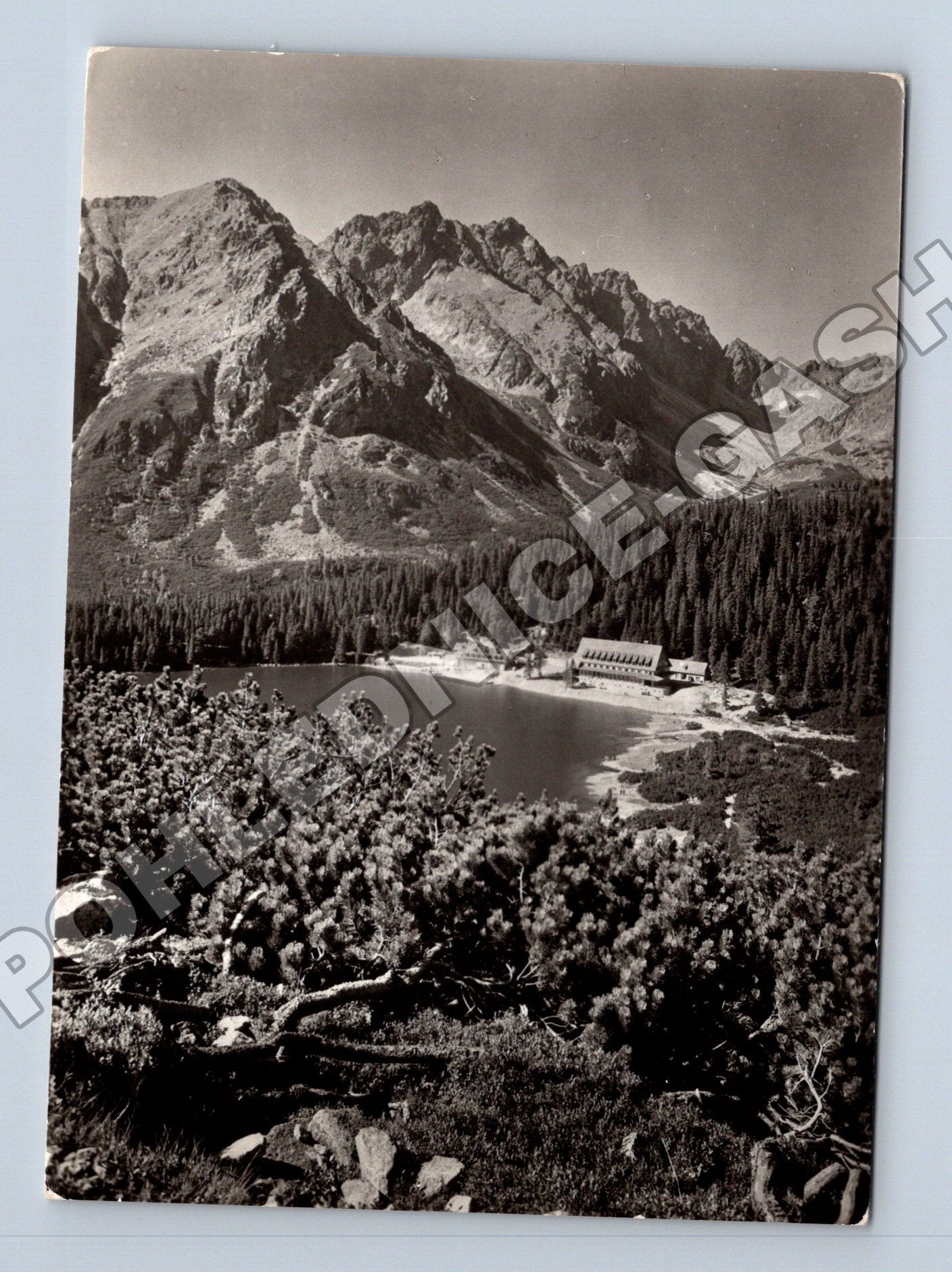 Pohlednice Slovensko Tatranský národní park Popradské pleso (M35641)