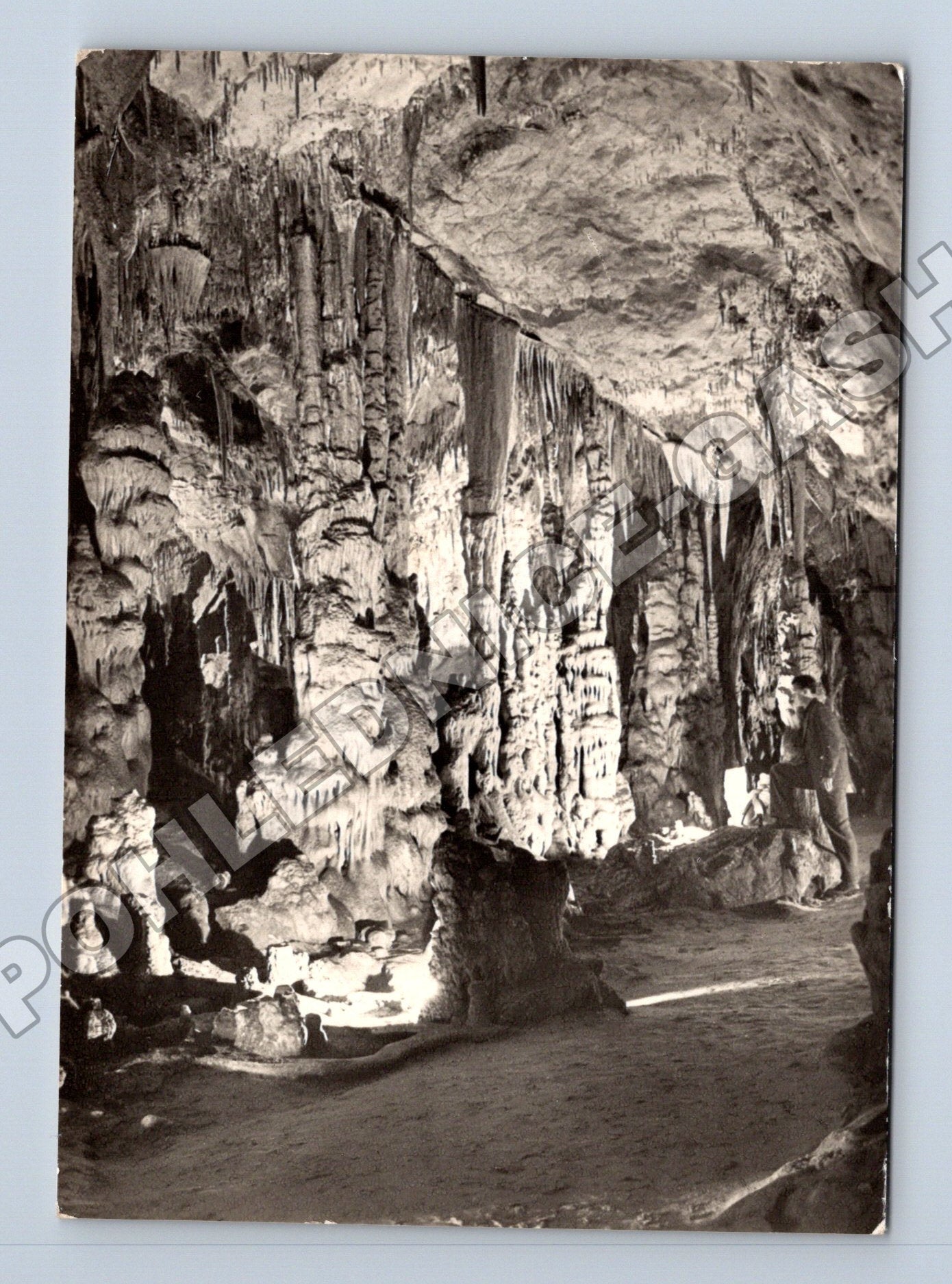 Pohlednice Slovensko Jaskyňa Domica kras 1950s (M35653)