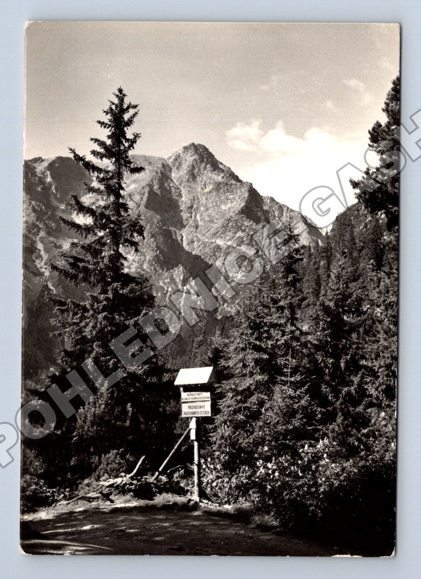 Pohlednice Slovensko Vysoké Tatry Slavkovský Štít 1948 (M35683)