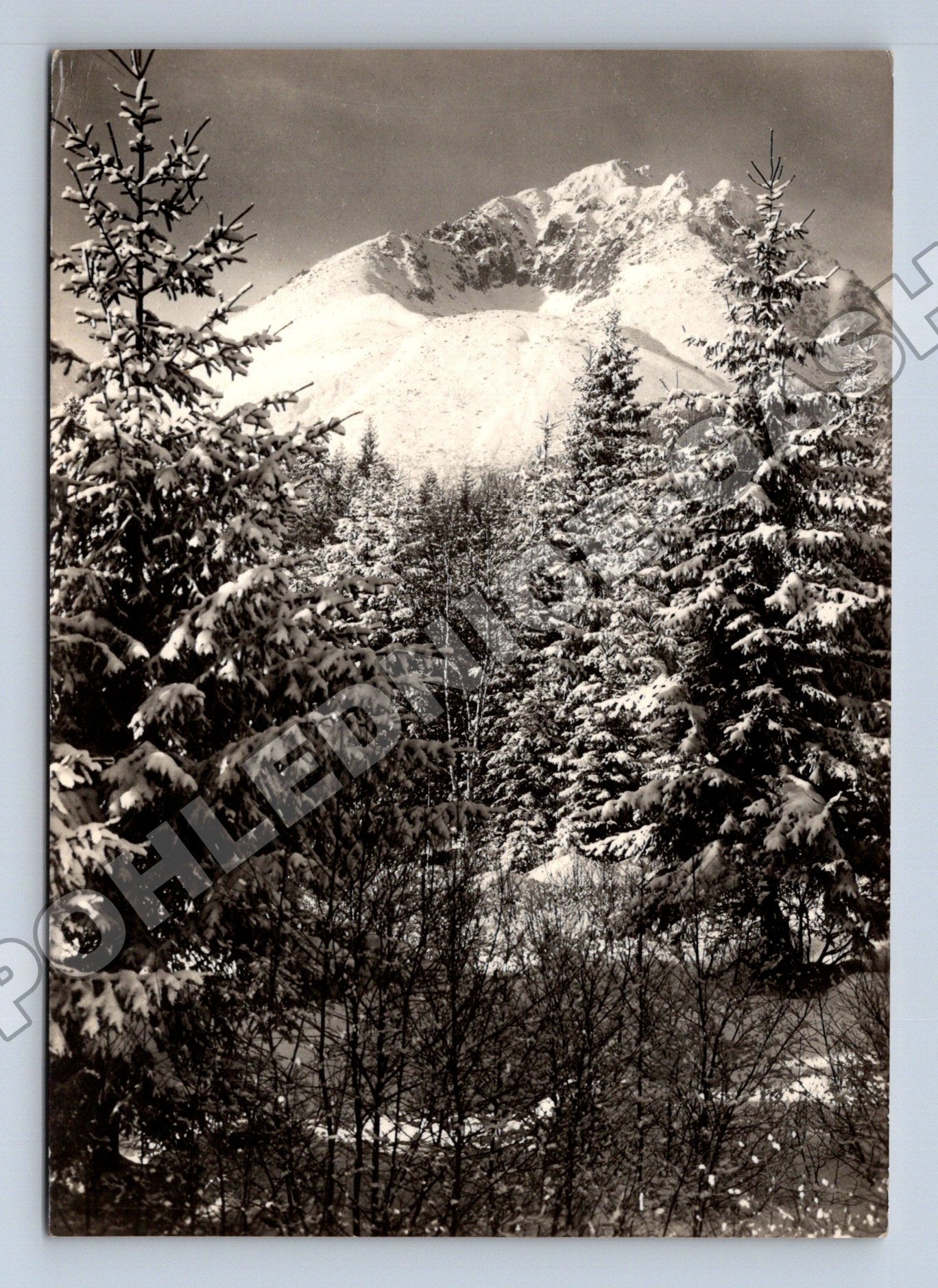 Pohlednice Slovensko Vysoké Tatry Stalinov štít (M35696)