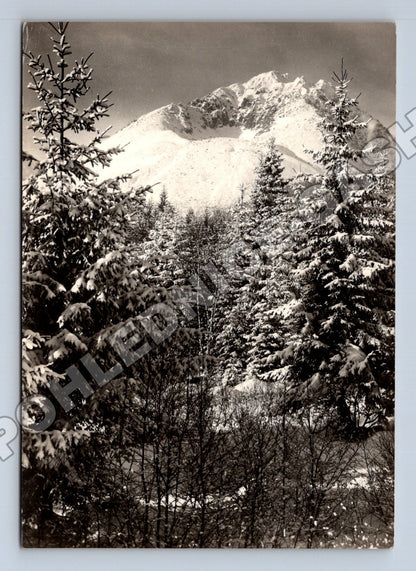 Pohlednice Slovensko Vysoké Tatry Stalinov štít (M35696)