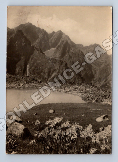 Pohlednice Slovensko Vysoké Tatry Rysy 1959 (M35700)