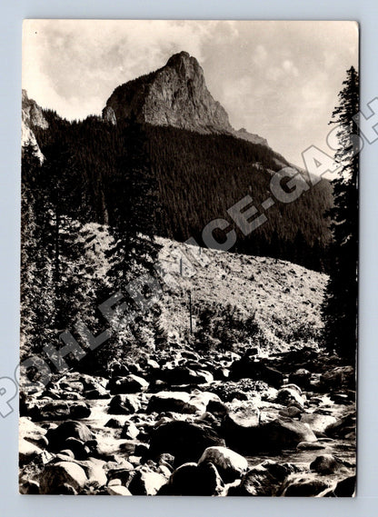 Pohlednice Slovensko Vysoké Tatry Muráň z Javorové doliny (M35701)