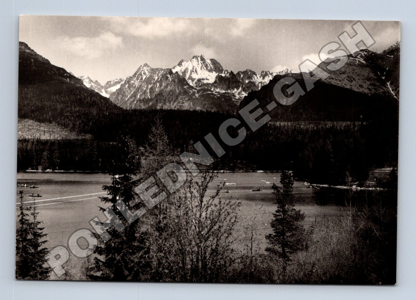 Pohlednice Slovensko Tatranský park Štrbské pleso (M35706)