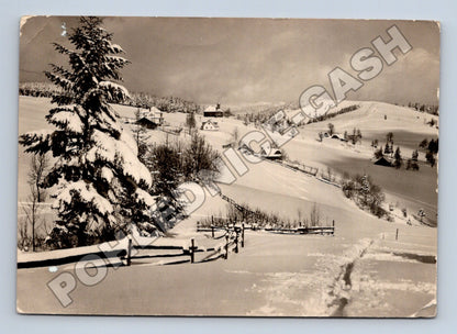 Pohlednice Gruň zimní krajina 1950s (M35722)