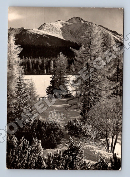 Pohlednice Slovensko Vysoké Tatry Štrbské pleso 1961 (M35735)