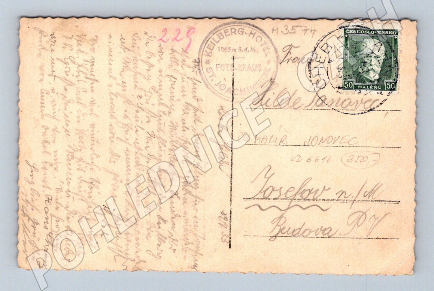 Pohlednice vycpaný lední medvěd zimní motiv (M3574)