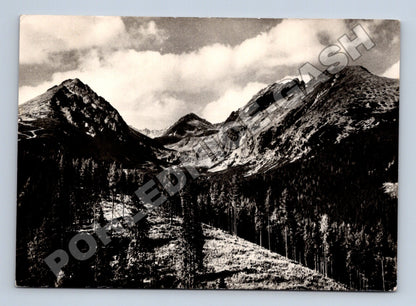 Pohlednice Slovensko Vysoké Tatry dolina Mlynica (M35757)
