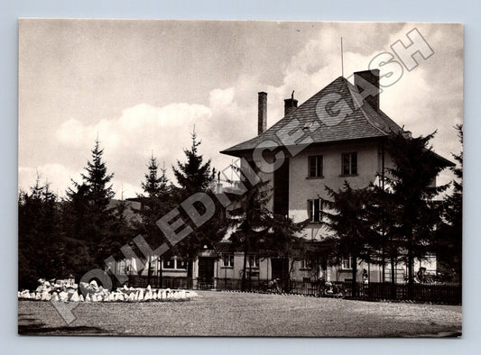 Pohlednice Slovensko Malé Karpaty chata na Babe 1959 (M35788)
