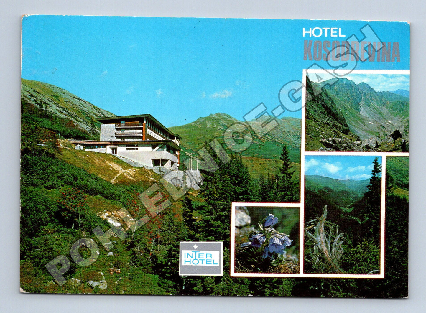 Pohlednice Slovensko Hotel Kosodrevina Nízké Tatry (M35817)