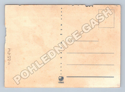 Pohlednice den solidarity žen Asie Afriky 1949 (M35841)