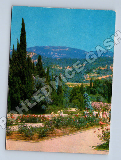 Pohlednice Ukrajina Nikitský botanický sad Růžová alej 1972 (M35860)