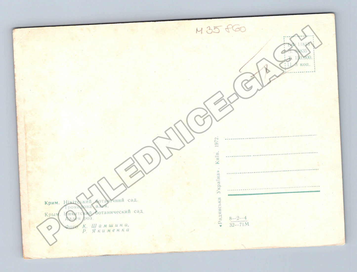 Pohlednice Ukrajina Nikitský botanický sad Růžová alej 1972 (M35860)