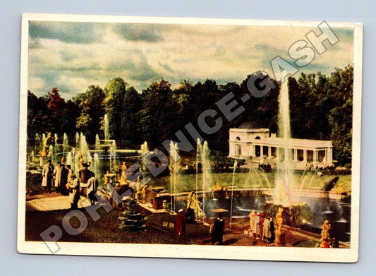 Pohlednice Rusko Peterhof Velká kaskáda 1963 (M35882)