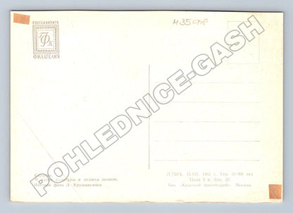 Pohlednice Rusko Saratov park podzim 1962 (M35918)