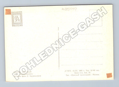 Pohlednice Rusko Saratov Dům-muzeum 1982 (M35919)
