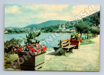 Pohlednice Nemecko Miltenberg řeka Mohan (M35933)