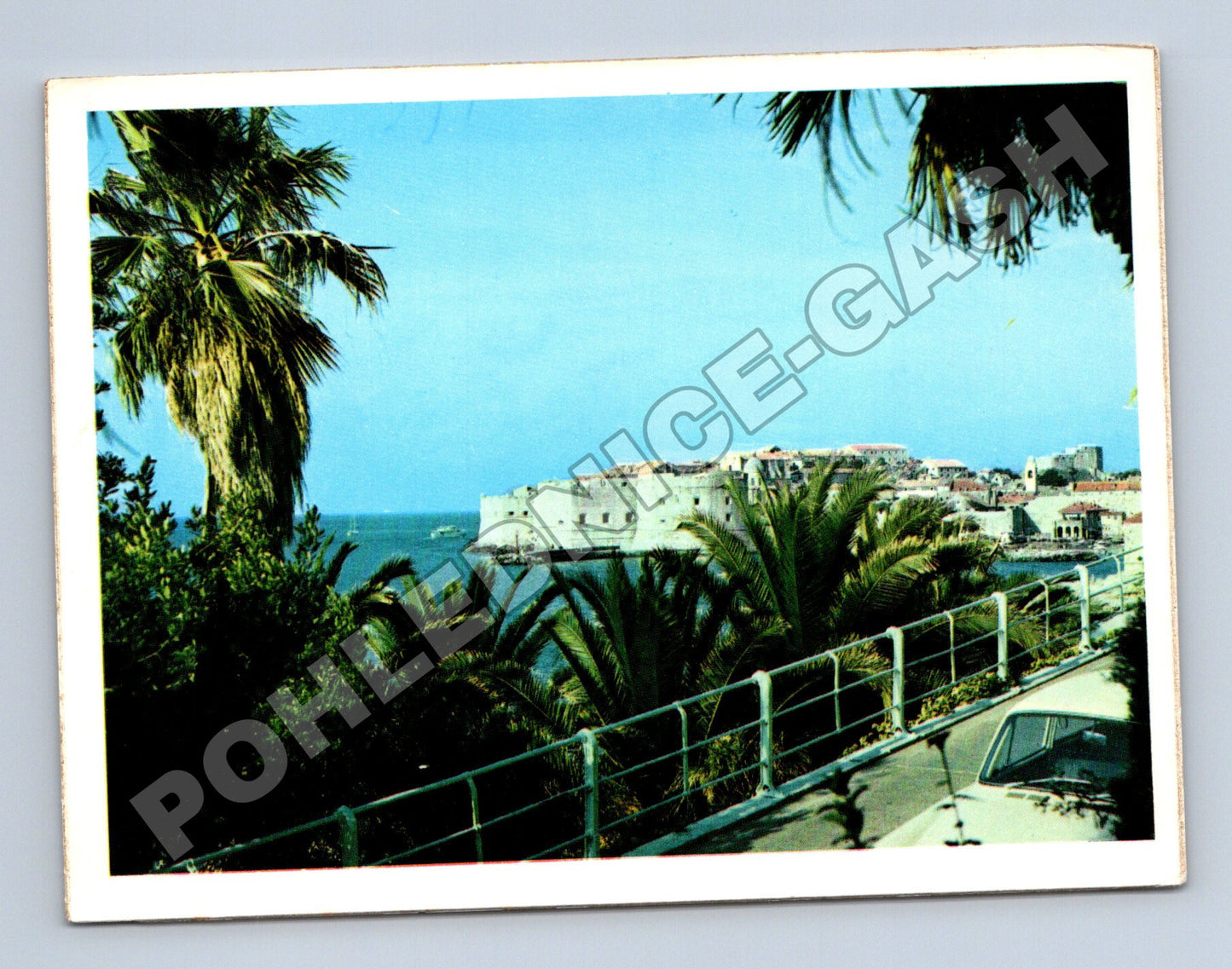Pohlednice Chorvatsko Dubrovnik hradby a palmy (M36026)