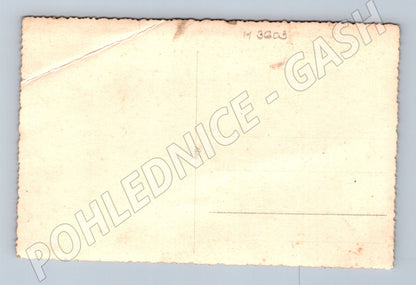 Pohlednice tři starší páni venkov čb (M3603)