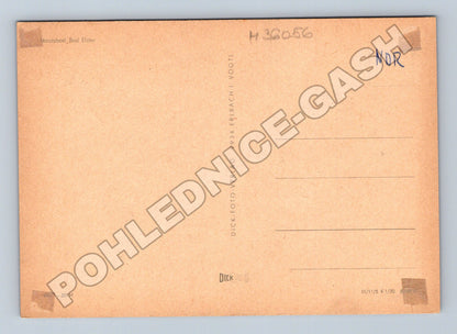 Pohlednice Německo Bad Elster město s jezerem 1970 (M36056)