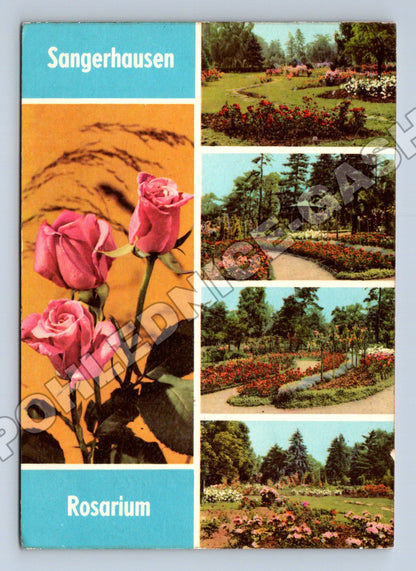 Pohlednice Německo Sangerhausen Rosarium 1969 (M36161)
