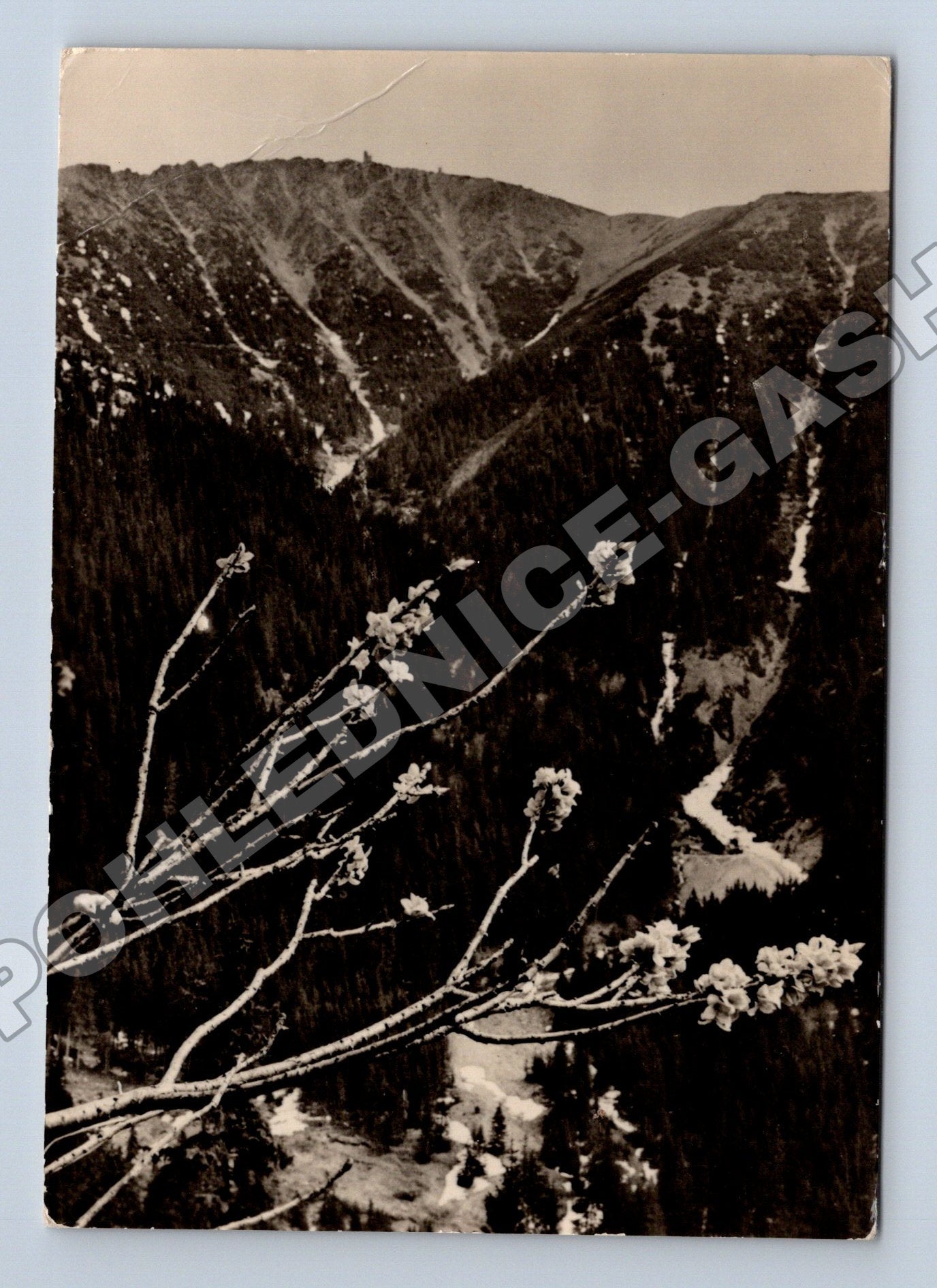 Pohlednice Krkonoše Obří důl zimní motiv 1989 (M36232)