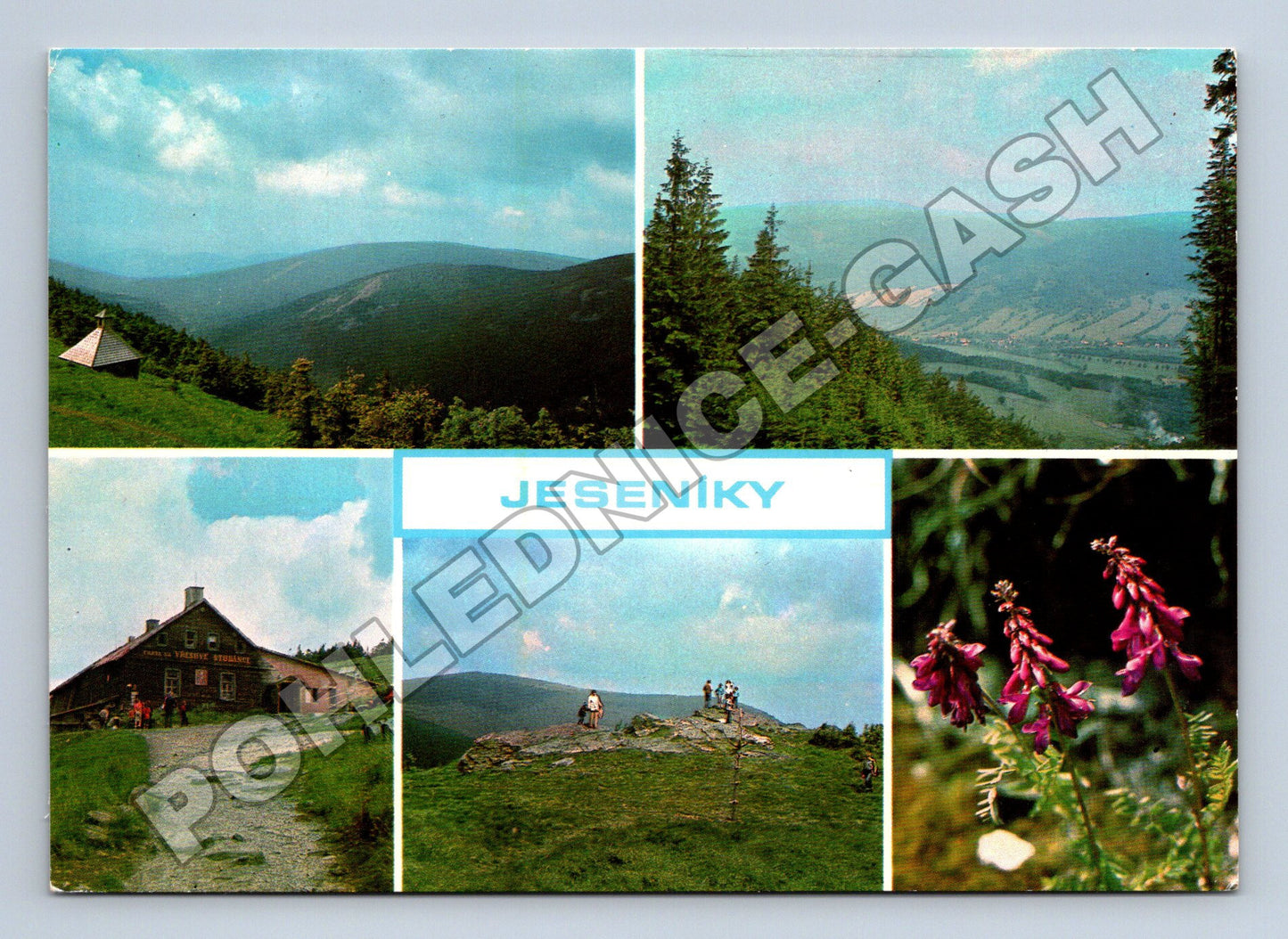 Pohlednice Jeseníky více pohledů (M36235)