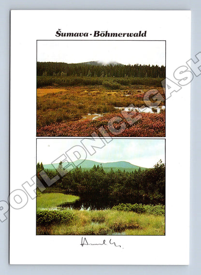 Pohlednice Šumava Roklanská slať Jezerní slať Rachelfilz (M36238)