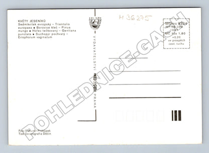 Pohlednice Jeseníky Květy Jeseníků (M36275)