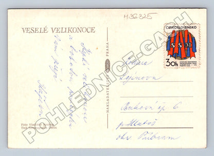Pohlednice Velikonoce kočičky kraslice 1979 (M36325)