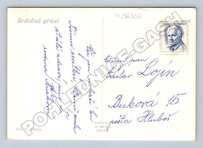 Pohlednice Kytice růží malba 1950s (M36336)