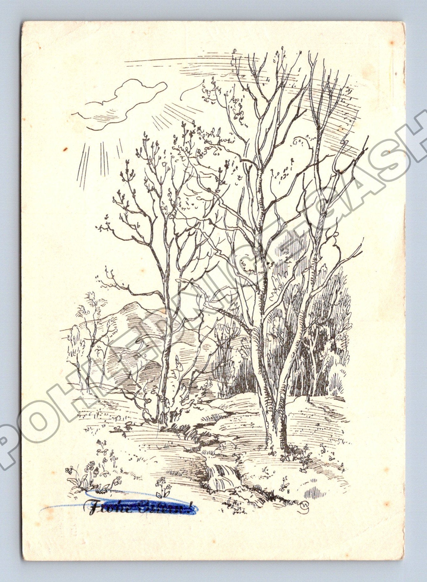 Pohlednice Rakousko kresba stromy krajina 1957 (M36337)