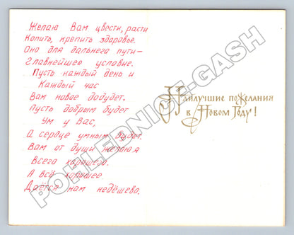Pohlednice Rusko Novoroční motiv sněhová chaloupka 1973 (M36351)