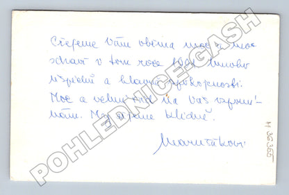 Pohlednice zimní krajina hýlové 1991 (M36355)