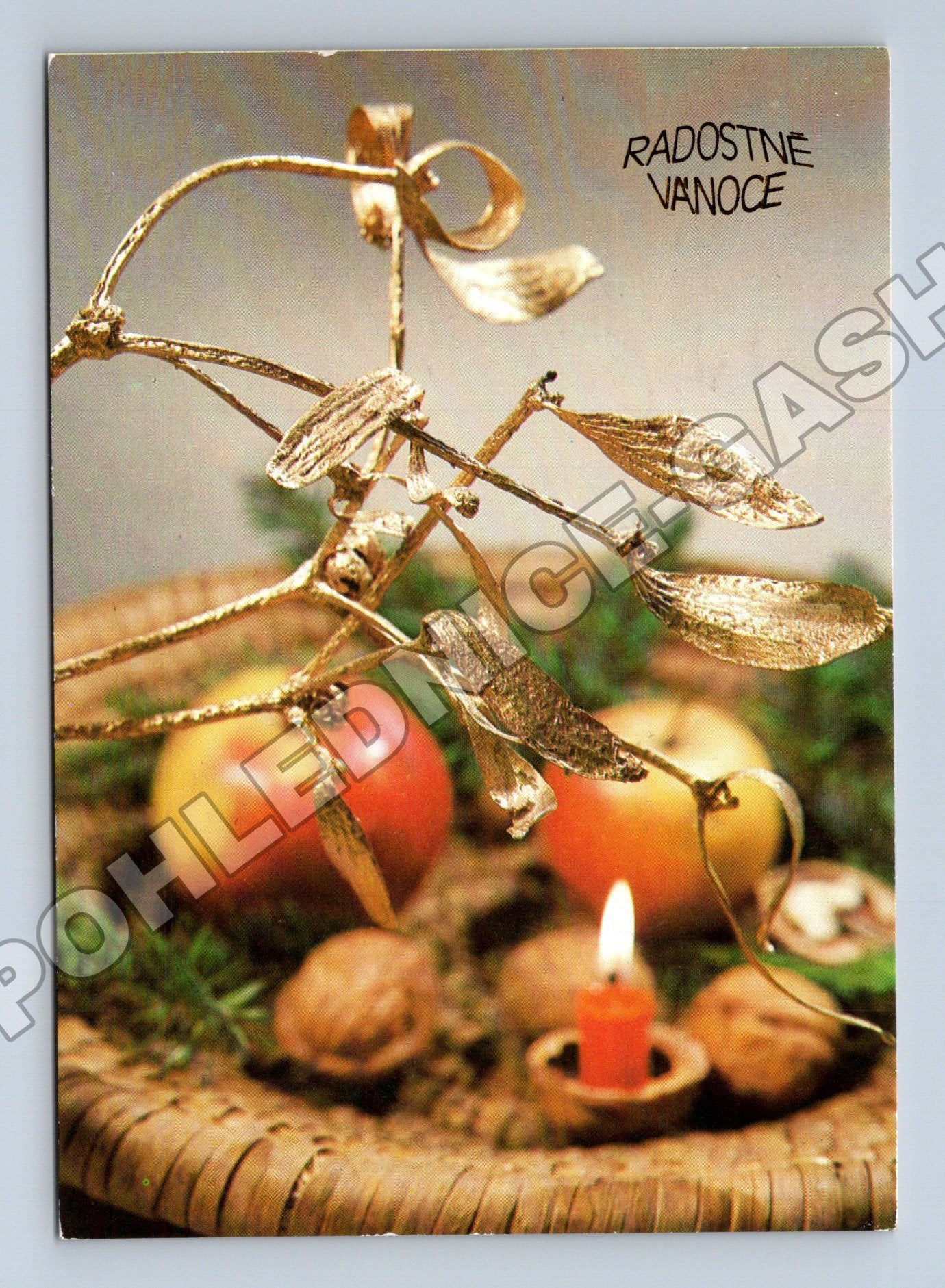 Pohlednice Vánoční motiv jmelí jablka 1982 (M36396)