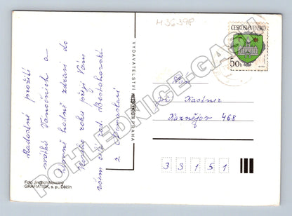 Pohlednice vánoční zátiší (M36398)