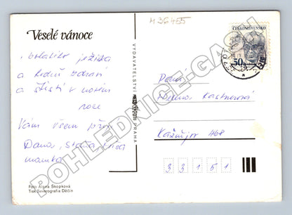 Pohlednice Vánoční koš s ovocem a ořechy (M36455)