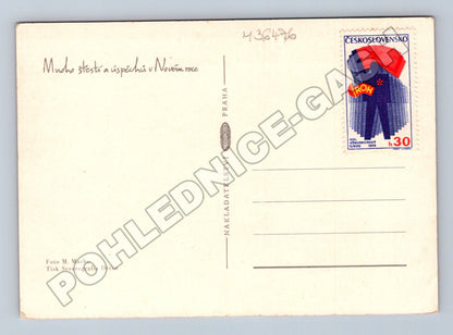 Pohlednice novoroční láhev vína klobouk 1965 (M36476)