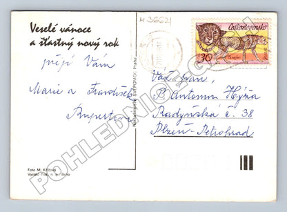 Pohlednice vánoční zátiší ovoce ořechy (M36621)