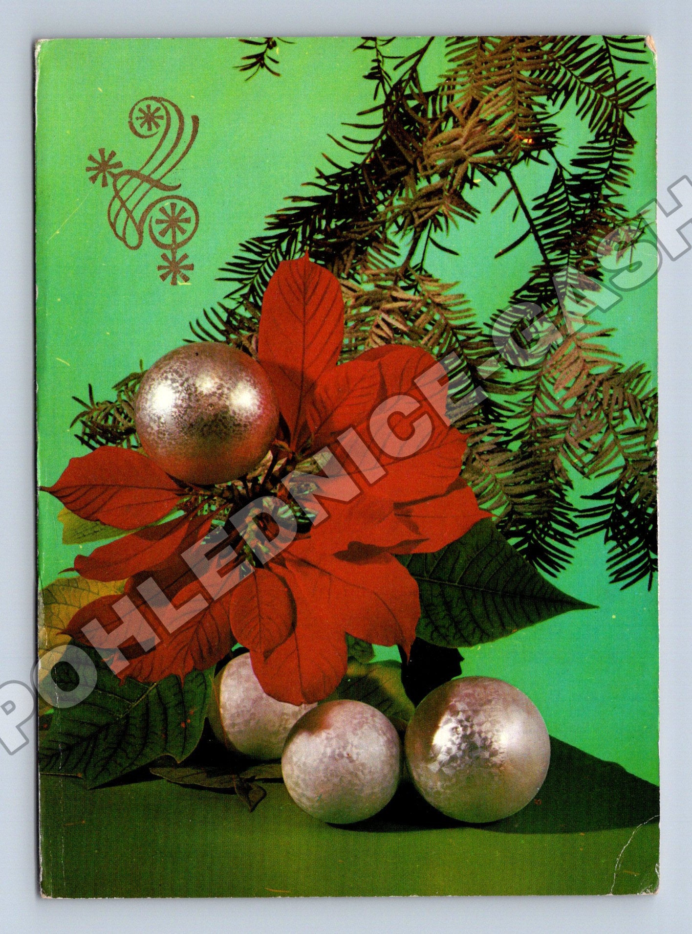 Pohlednice Vánoční motiv Poinsettia a ozdoby 1957 (M36622)