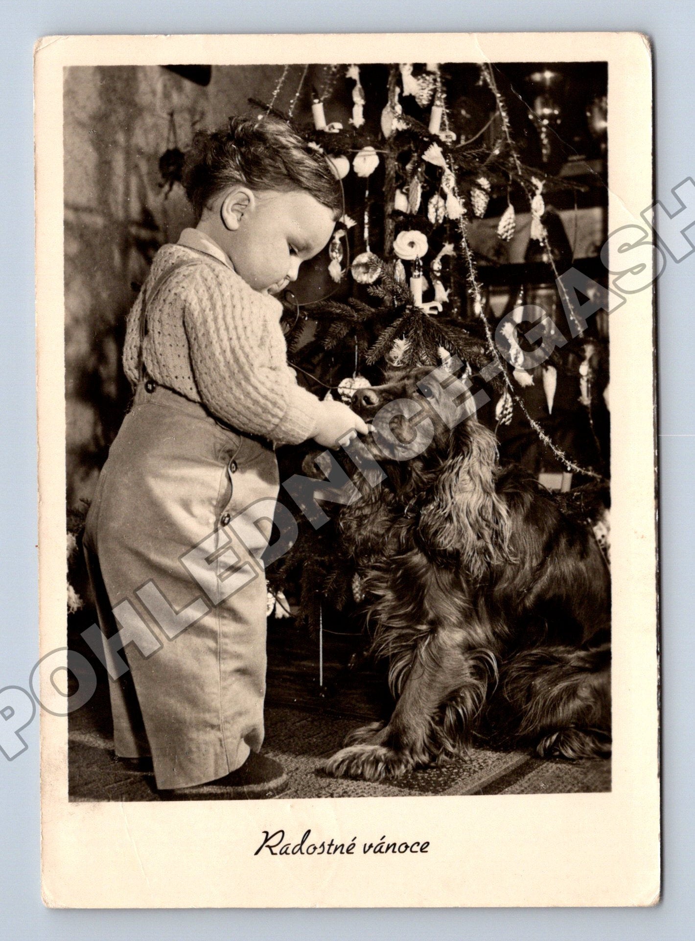 Pohlednice Radostné vánoce dítě a pes 1947 (M36632)