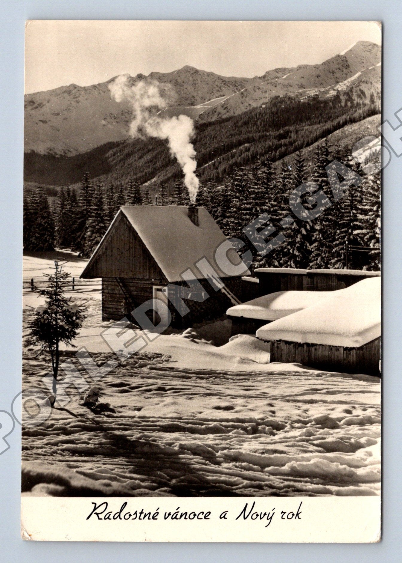Pohlednice Vánoční Radostné vánoce zimní krajina (M36635)