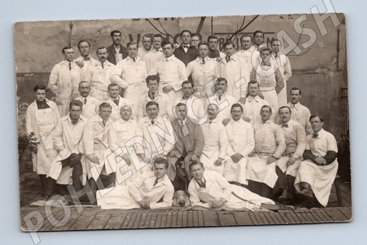 Pohlednice Řezníci jatka Žižkov (M3664)