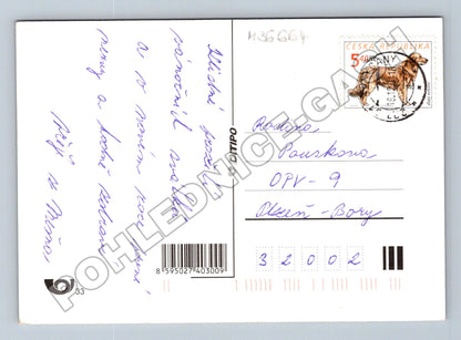 Pohlednice Vánoční s dětmi a dárky 1999 (M36664)