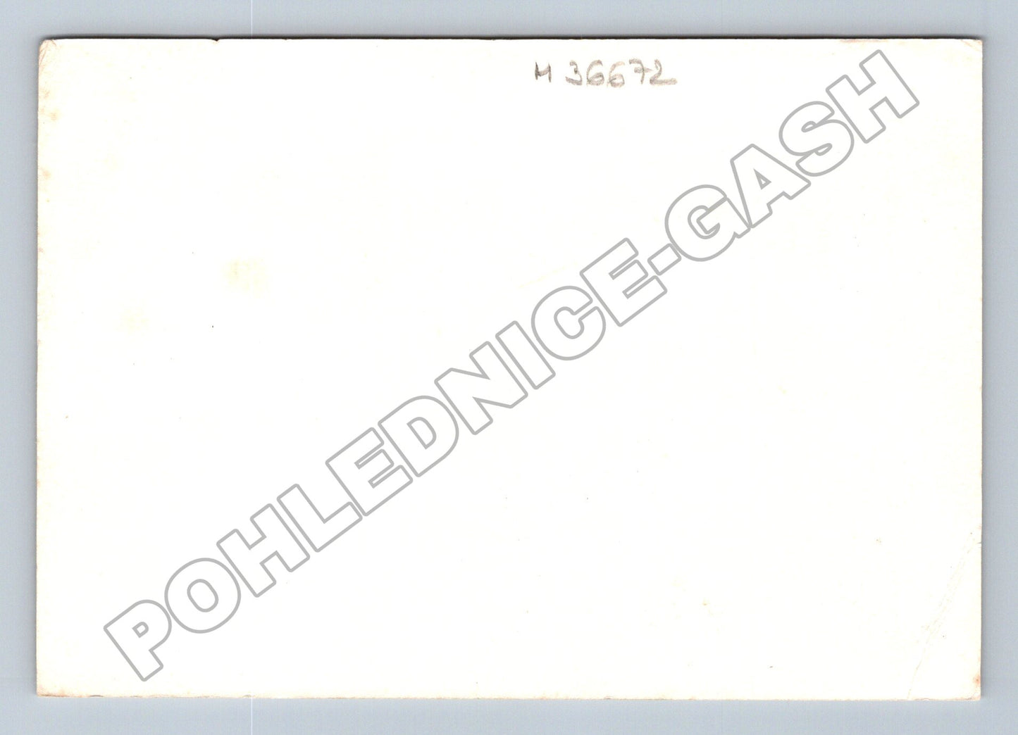 Pohlednice pf 1988 vánoční přání ornament (M36672)