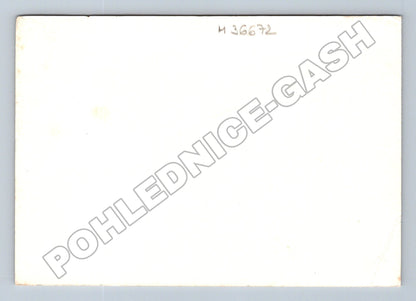 Pohlednice pf 1988 vánoční přání ornament (M36672)